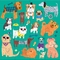 أحجية الصور المقطوعة المغناطيسية للقطط والكلاب 6.5 × 6.5 بوصة متعددة الألوان